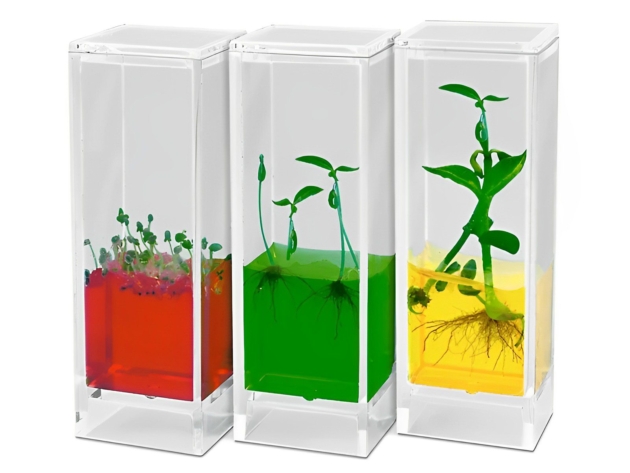 SEE IT GROW PLANT LAB