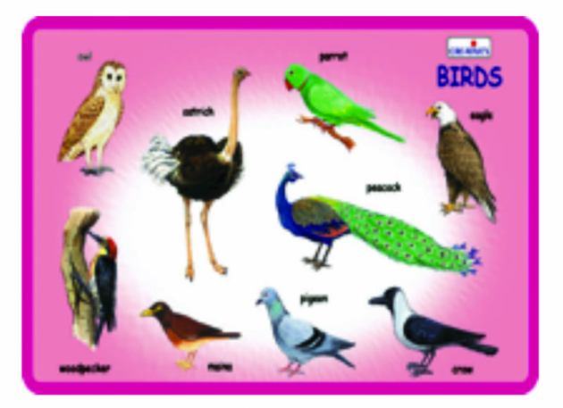 PLAY AND LEARN PUZZLES -BIRDS