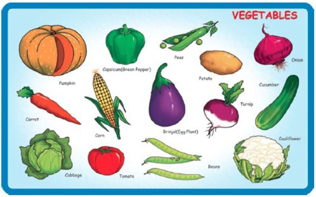 PLAY AND LEARN PUZZLES - VEGETABLES