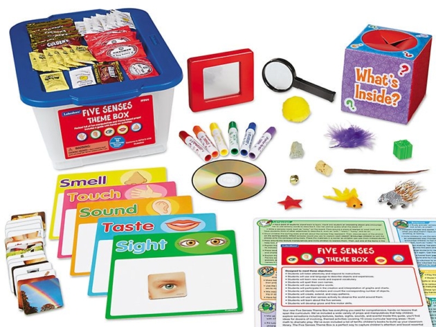 FIVE SENSE THEME BOX