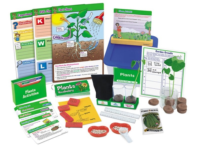 PLANTS ACTIVITY TUB