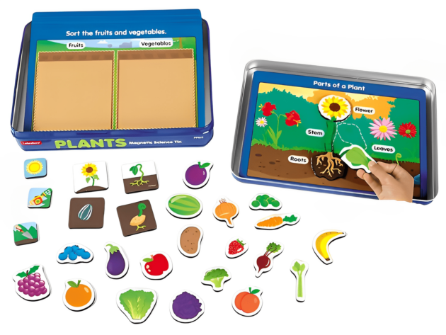 PLANTS MAGNETIC ACTIVITY TIN