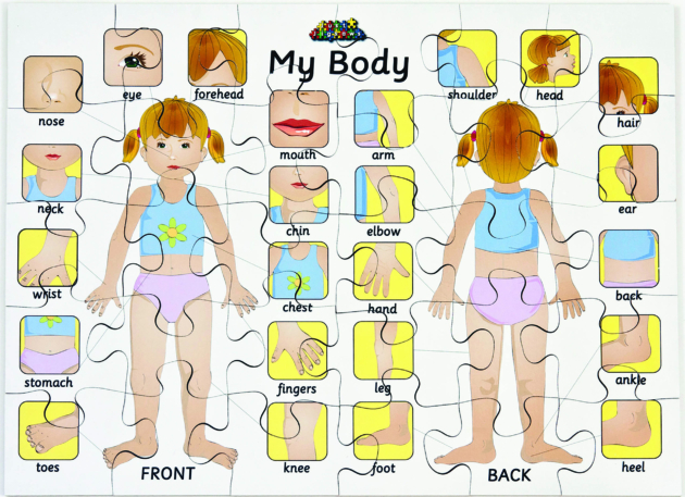 My Body Puzzle - 30 Piece