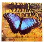 Tray Puzzles – Life Cycles Butterfly - 19 Piece