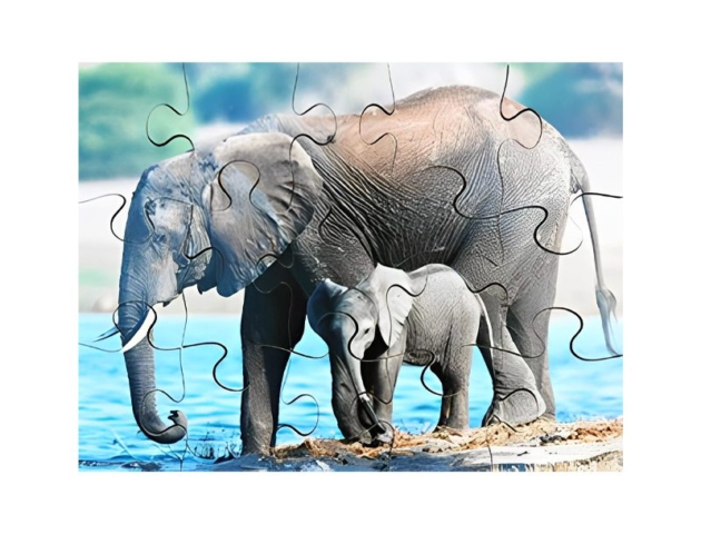 Wild Animals And Their Young Interlocking Puzzle - 9-18 Pieces