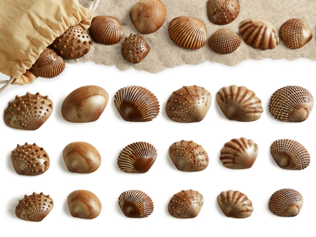 SENSORY MATCH SEASHELLS