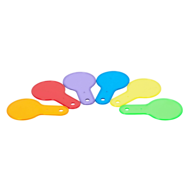 TRANSLUCENT COLOUR PADDLE SET