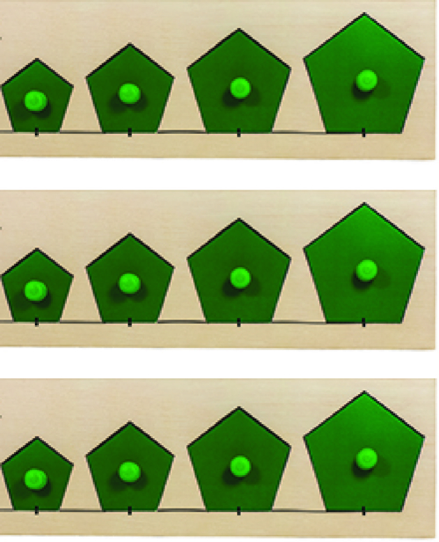 PENTAGON SORTING BOARD (EACH)