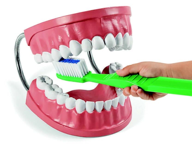 DENTAL CARE MODEL