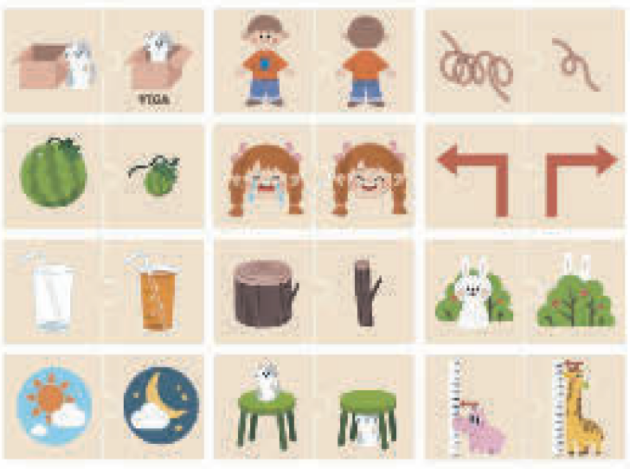 Opposites Puzzle Set