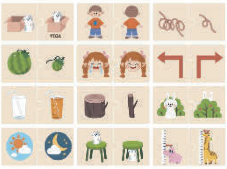 Opposites Puzzle Set