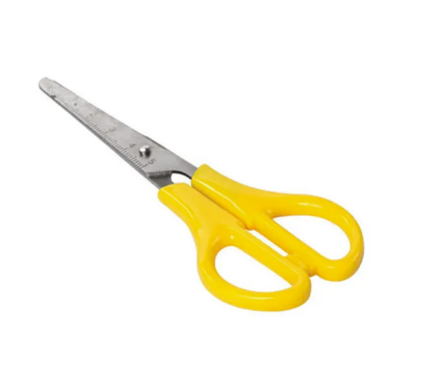 BLUNT NOSE SCISSORS